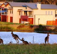 Grand Mercure The Vintage Hunter Valley - Holiday Adelaide