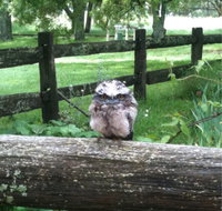 Milton Park - Holiday Adelaide