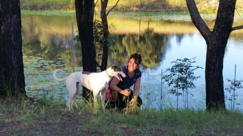 Wingham Pet Motel - Holiday Adelaide 2