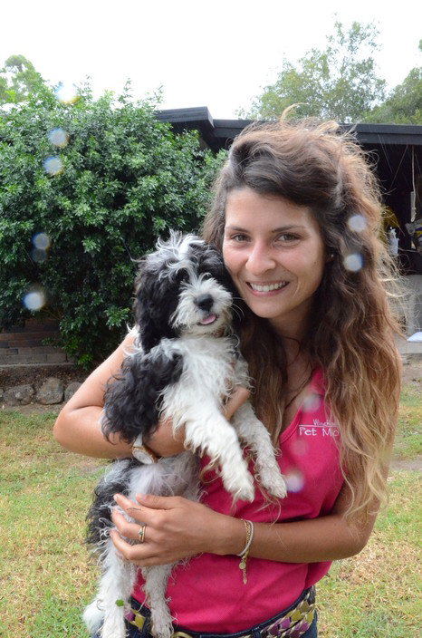 Wingham Pet Motel - Holiday Adelaide 5