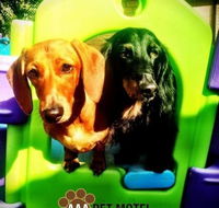 AAA Pet Motel - Holiday Adelaide