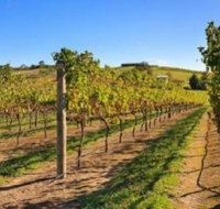 DeVine Escape - Holiday Adelaide