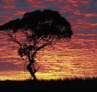 Kimba Caravan Park amp Motel - Holiday Adelaide