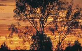 Tilmouth Well - Holiday Adelaide 0