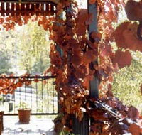 The Vines Motel amp Cottages - Holiday Adelaide