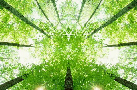 Ibis Budget Wentworthville - Holiday Adelaide 2