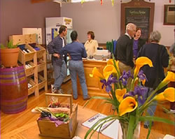 Settlers Ridge Organic Wines - Holiday Adelaide 0