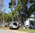 Elliston Caravan Park - Holiday Adelaide