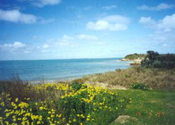 Southern Ocean Tourist Park - Holiday Adelaide 1