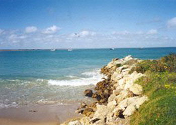 Southern Ocean Tourist Park - Holiday Adelaide 2