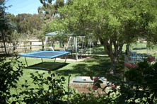 Tarcutta Halfway Motor Inn - Holiday Adelaide 8