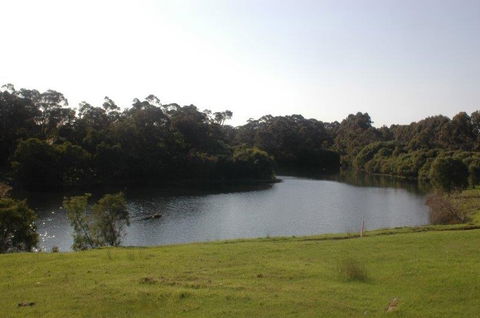 Harmony Forest - Holiday Adelaide 1