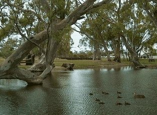 Bordertown Abode Parkland Motel - Holiday Adelaide 2
