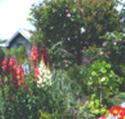 Hopfield Country Cottages - Holiday Adelaide