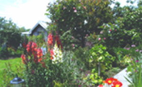 Hopfield Country Cottages - Holiday Adelaide 0