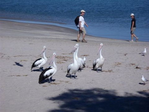 Kalbarri Accommodation Service - Holiday Adelaide 5
