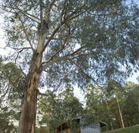 Outpost Restaurant - Holiday Adelaide