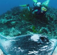 Heron Island Resort - Holiday Adelaide