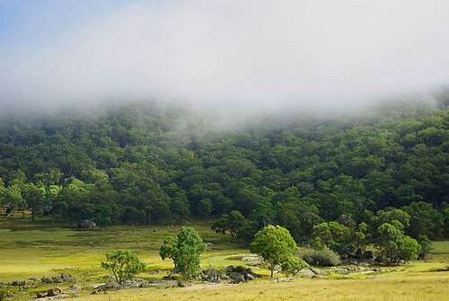 Deepwater NSW Holiday Adelaide