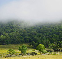 Tor Cottage at Anketell Forest - Holiday Adelaide