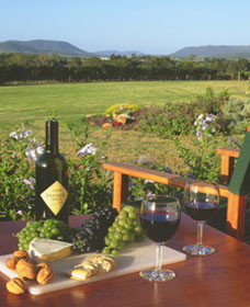 Tranquil Vale Vineyard Cottages - Holiday Adelaide 0