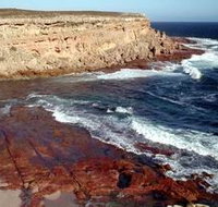 Coodlie Park - Holiday Adelaide