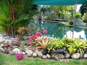 Daintree Wild Bed And Breakfast - Holiday Adelaide 0