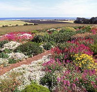 Tower Hill House - Holiday Adelaide