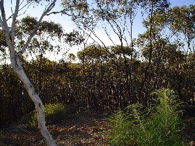 Doongul ACT Holiday Adelaide