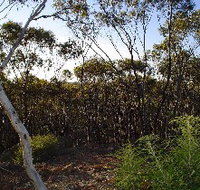 Lions Dryandra Woodlands Village - Holiday Adelaide