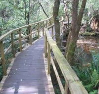 The Mouses House - Holiday Adelaide