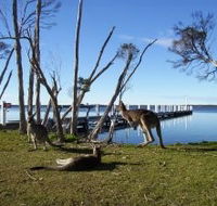 Waterfront Retreat At Wattle Point - Holiday Adelaide