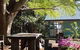 Pines On The Plateau Luxury Lodges - thumb 0