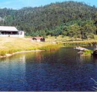 Millybrook Lodge - Holiday Adelaide
