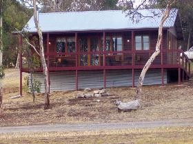Ivybrook Vineyard Cottage - Holiday Adelaide 0