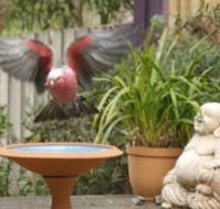 Wattle Court  Retreat - Holiday Adelaide