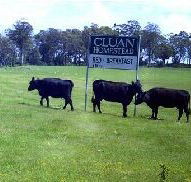 Cluan Homestead - Holiday Adelaide