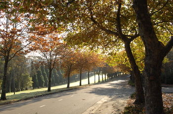 Fairmont Resort Blue Mountains MGallery By Sofitel - Holiday Adelaide 30