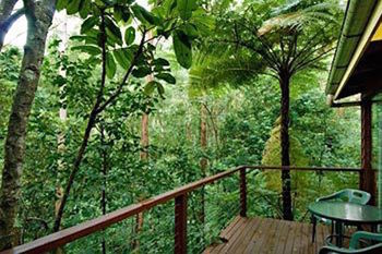 Kondalilla Eco Resort - Holiday Adelaide 2