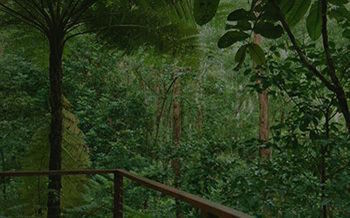Kondalilla Eco Resort - Holiday Adelaide 7