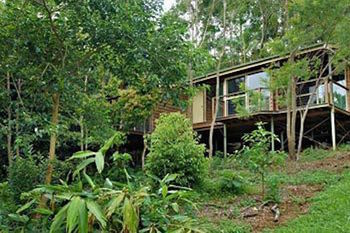 Kondalilla Eco Resort - Holiday Adelaide 22