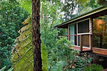 Kondalilla Eco Resort - Holiday Adelaide 23