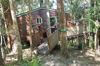 Kondalilla Eco Resort - Holiday Adelaide 27
