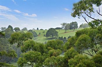 Kondalilla Eco Resort - Holiday Adelaide 28
