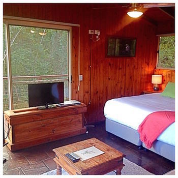 Kondalilla Eco Resort - Holiday Adelaide 50