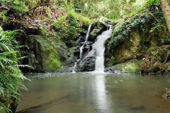 Kondalilla Eco Resort - Holiday Adelaide 63