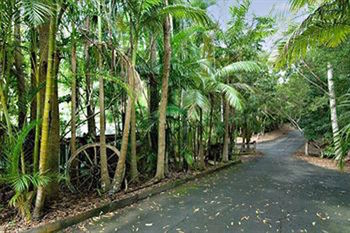 Kondalilla Eco Resort - Holiday Adelaide 94