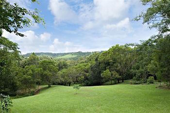 Kondalilla Eco Resort - Holiday Adelaide 97