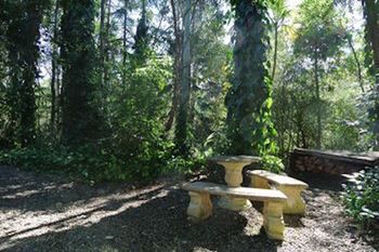 Kondalilla Eco Resort - Holiday Adelaide 98