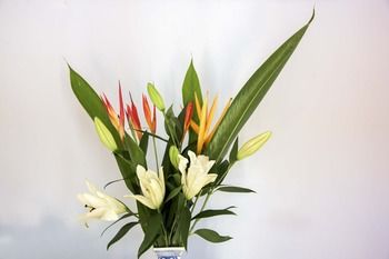 Ninderry Manor Luxury Retreat - Holiday Adelaide 8